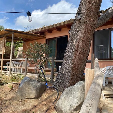 Casa Daniela 호텔 토레 델레 스텔레 외부 사진